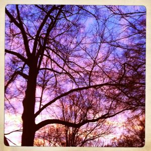 Variation, winter sunset