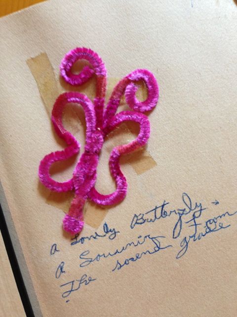 A pipe-cleaner butterfly and my own cursive handwriting